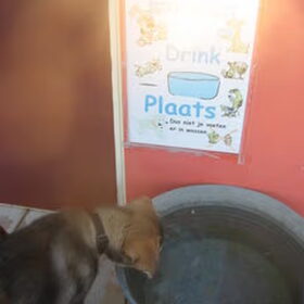 Doran's eerste weekendje weg naar Zee. Deze foto is gemaakt in…