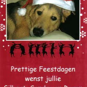 Doran op onze kerstkaart, 2007