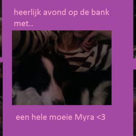 Hondenfoto van Inge, baasje van Sasha en Myra <3
