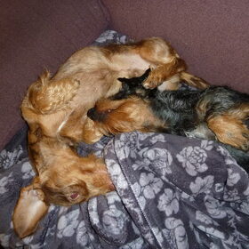 Wakker worden!!
