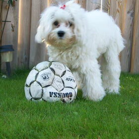 Voetballen kan ik ook:)