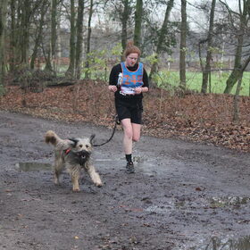 Hondenfoto van team Shadow