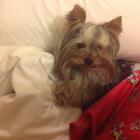 Bed story....