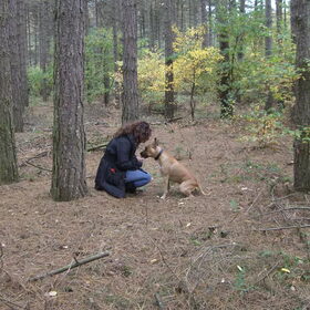 Zo leuk dat bos in Belgie!
