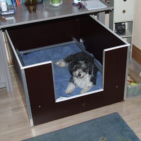Sitah in haar werpkist
