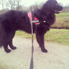 Hondenfoto van Anouk & Balou<3