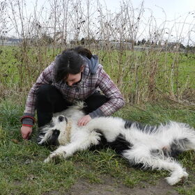 Met asiel hond Luka