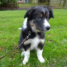 Macho ruim 3 maanden