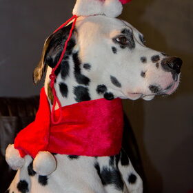 Enkele jaartjes geleden (2011) met Kerst