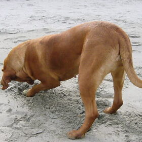 Oktober 2009 lekker met mijn baasjes mee zeevissen, het was…