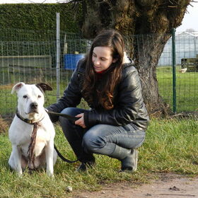 Met Shiva