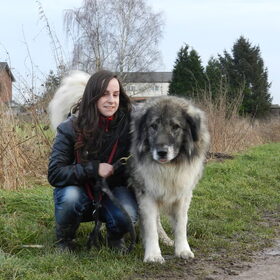 Met Dan