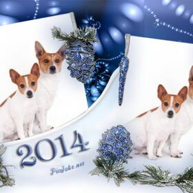 happy 2014
