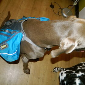 Ruffwear rugzak