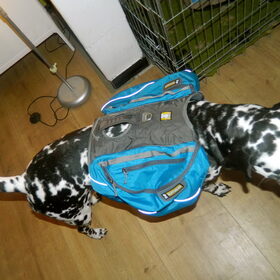 Ruffwear rugzak