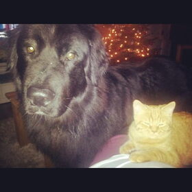 Hondenfoto van Anouk & Balou<3