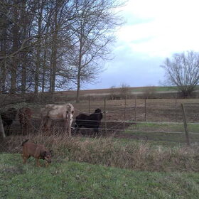 3 jan 2013 : 13 graden C !