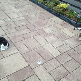 Teigetje en Minetje in de tuin