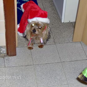 met mijn kerstmuts op