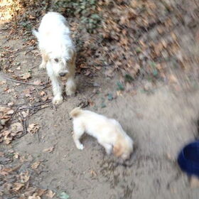 Sunny met haar moeder (Ella)