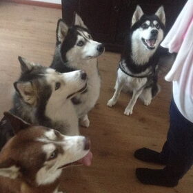 Juno, demon, silver en nayra