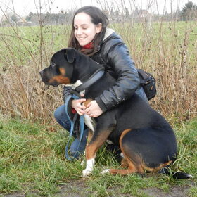 Met asielhond Drago