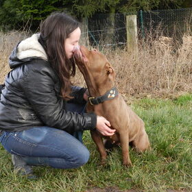 Met Roxy