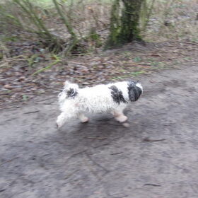 Ons oudje aan de wandel.:-)