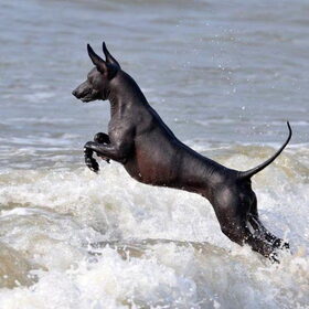 Troy aan zee!!!