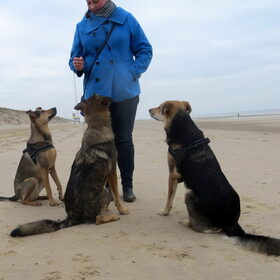 Odi met broertje en zusje