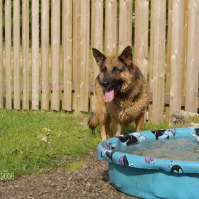Onze waterrat, Puck!