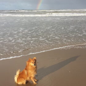 Met de regenboog