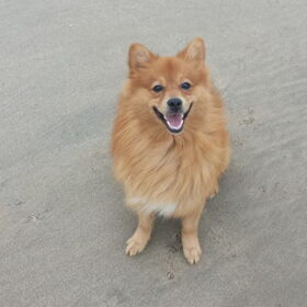 Strandwandeling