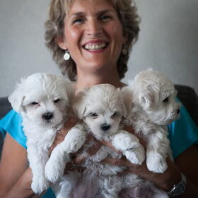 Desi,s pups, augustus 2013
