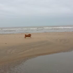 Genieten