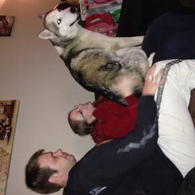 Schoot hondje