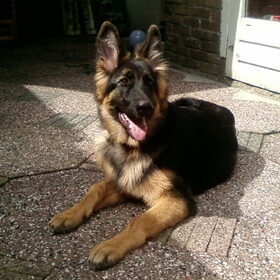 Sita 5 maanden