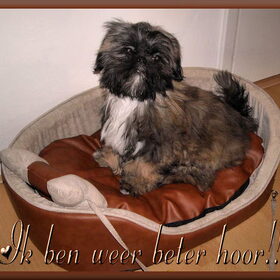 Lieve mensen hier ben ik weer beter, tjonge wat ben ik ziek…