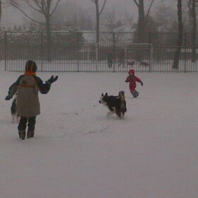 samen met de kinders in de sneeuw