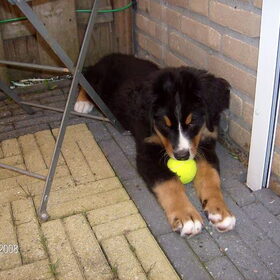 ons fotomodel.