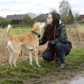 Met asielhondje Lexy