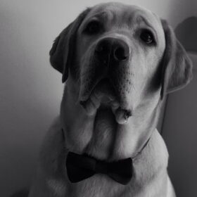 Do you want to be my valentine?