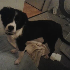 Kleine meisjes worden groot :D
