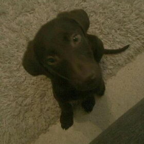 Ons Ira, 3maanden oud.