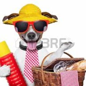 Hondenfoto van miralooks