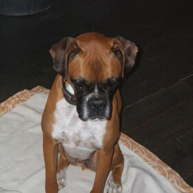 dit is mijn lieve schatt hij is helemaal van mij hij is zo super…
