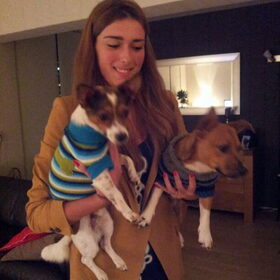 Hondenfoto van Romeo en Rocky