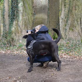 Gemaakt door Lisanne