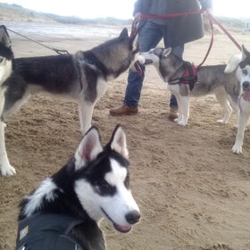 Lekker op het strand ;)