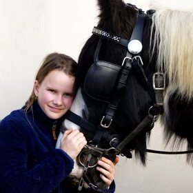 Hondenfoto van Tamara,Kallista & Marcel, Hercule †, Yordi †